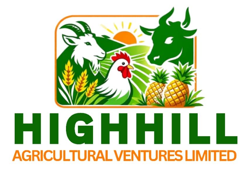 Highhill Agricultural Ventures Limited